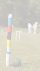 Image result for Brodsworth Main Cricket Club