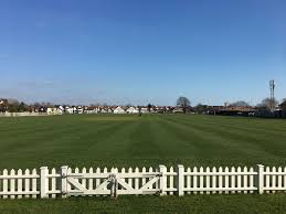 Image result for Bere Regis Cricket Club