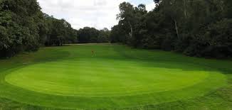 Image result for Wimbledon Common Golf Club