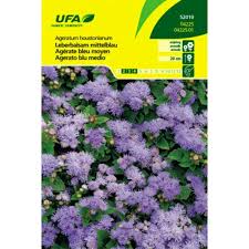 Image result for Leberbalsam