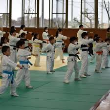 Image result for Sendai Kushiro Karate