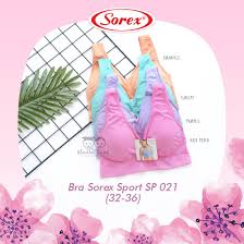 Attēlu rezultāti vaicājumam “Sorex sp.”