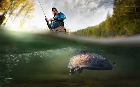 Image result for vissen