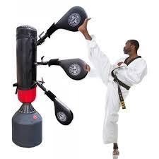 Image result for COMBAT TAEKWONDO