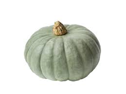 Image result for Kürbis