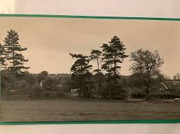 Image result for Glevering Badminton Club