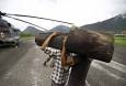 Uttarakhand: Near Kedarnath temple, helicopter lands with firewood ...