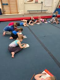 Image result for Brumby Gymnastics Club