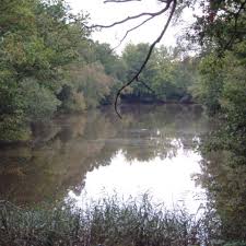 Image result for Reigate & District Angling Association