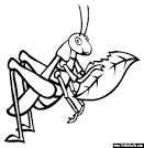 Grasshopper coloring page