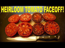 Afbeeldingsresultaat voor black brandywine tomato