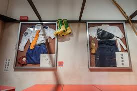 「磯鷲早矢」の画像検索結果