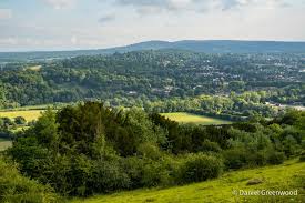 Image result for Box Hill SC