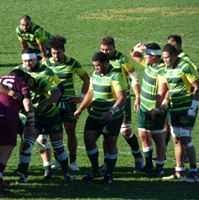 Image result for Wellington Rugby Football Club Limited