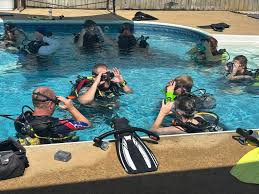 Image result for innerspace divers