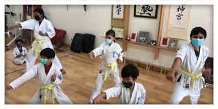 Image result for Aylesbury Vale Seido Karate