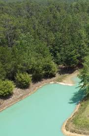 Image result for Blackwater Valley Canoe Club