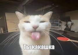 Картинки по запросу ты какашка