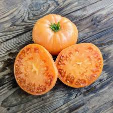 Afbeeldingsresultaat voor amana orange beefsteak tomato