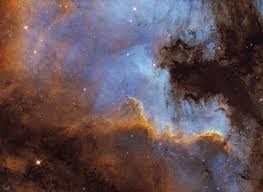 Attēlu rezultāti vaicājumam “Cygnus”