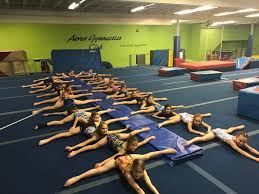 Image result for Aero Gymnastics Club