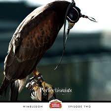 Image result for Wimbledon Hawks