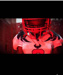 Image result for Hedingham Hawks Youth Football Club