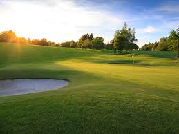 Image result for Newton Abbot Somersaults Gc