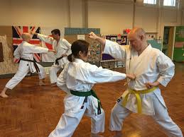 Image result for Kyomeikai Karate Club
