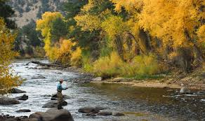 Image result for Kirkham and District Fly Fishers` Club