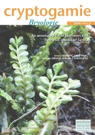 Attēlu rezultāti vaicājumam “Isopaches bicrenatus”