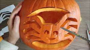 Image result for Kürbis