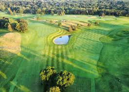 Image result for Fox Gc