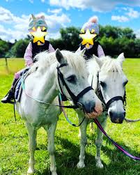 Image result for Weybridge Equestrian Centre