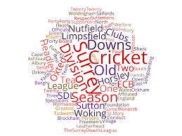 Image result for Shere Cricket Club