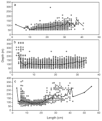 Image result for Parophrys vetulus