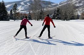 Image result for Scandinavian slope and cross country skiing