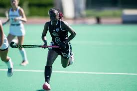 Image result for Kingston Upon Hull Hockey Club