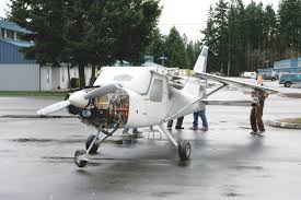 Image result for Dinas Microlight Club