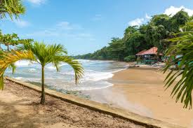 Image result for cahuita costa rica