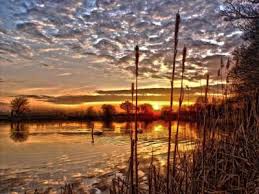 Image result for Hull & District Anglers' Association