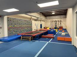 Image result for Waterside Gymnastics Club
