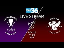 Image result for Saffron Walden Cricket Club