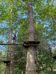 Image result for Go Ape! Leeds Castle