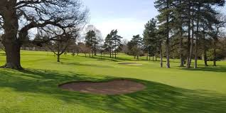 Image result for Stowmarket Meadlands Recreation Club