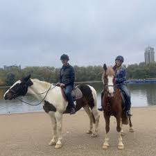 Image result for Huntingdon and District Riding Club
