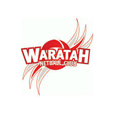 Image result for Wombles Netball Club