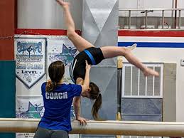 Image result for Jayenell Gymnastics Club