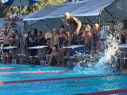 Image result for Hastings Seagulls Swimming Club