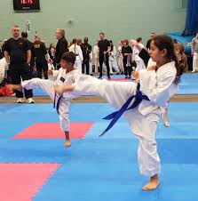 Image result for Bytomic Tae Kwon Do Lower Earley